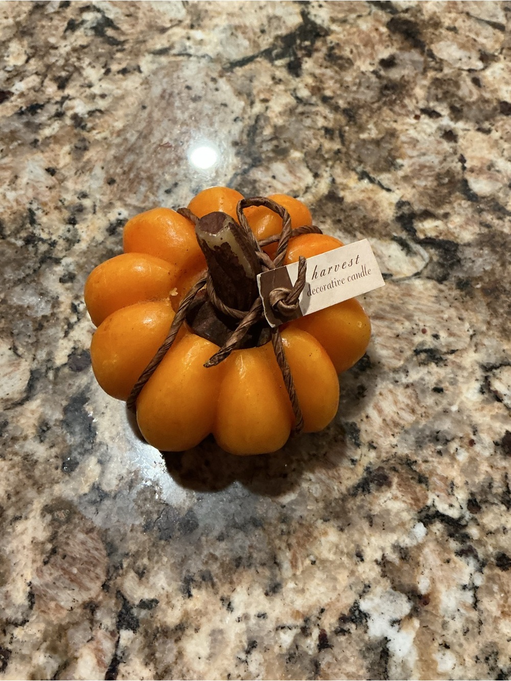 Harvest Decorative Small Pumpkin Candle - Orange NWOT